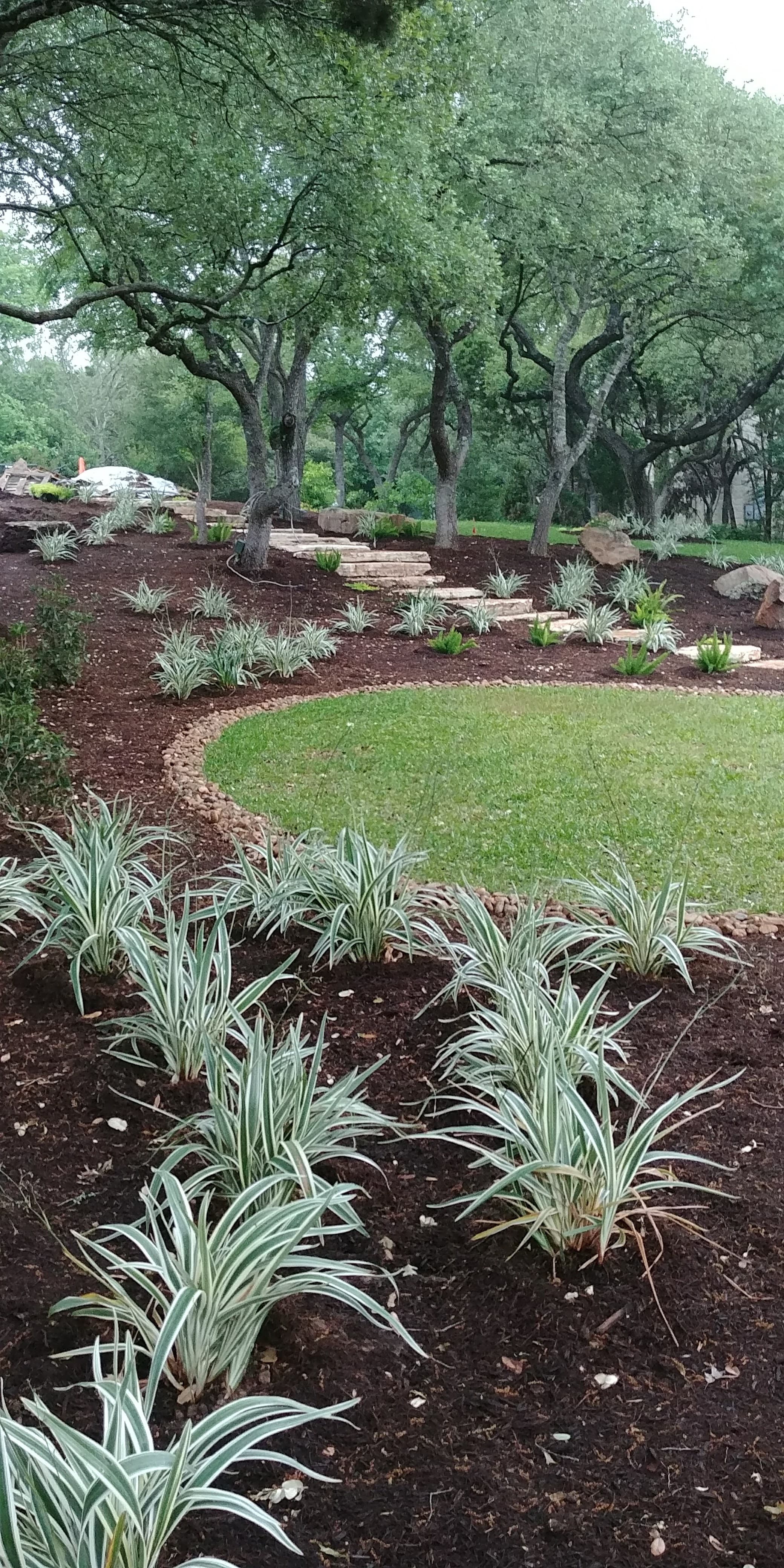 Lawns — Lone Oak Home Improvement Co.