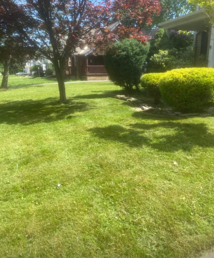 Lawns — Lone Oak Home Improvement Co.