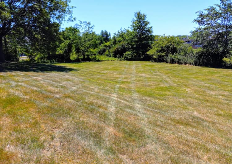 Lawns — Lone Oak Home Improvement Co.